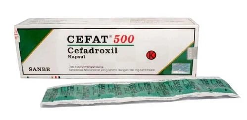 Cefat 500mg Caps